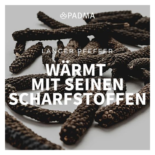 Langer Pfeffer