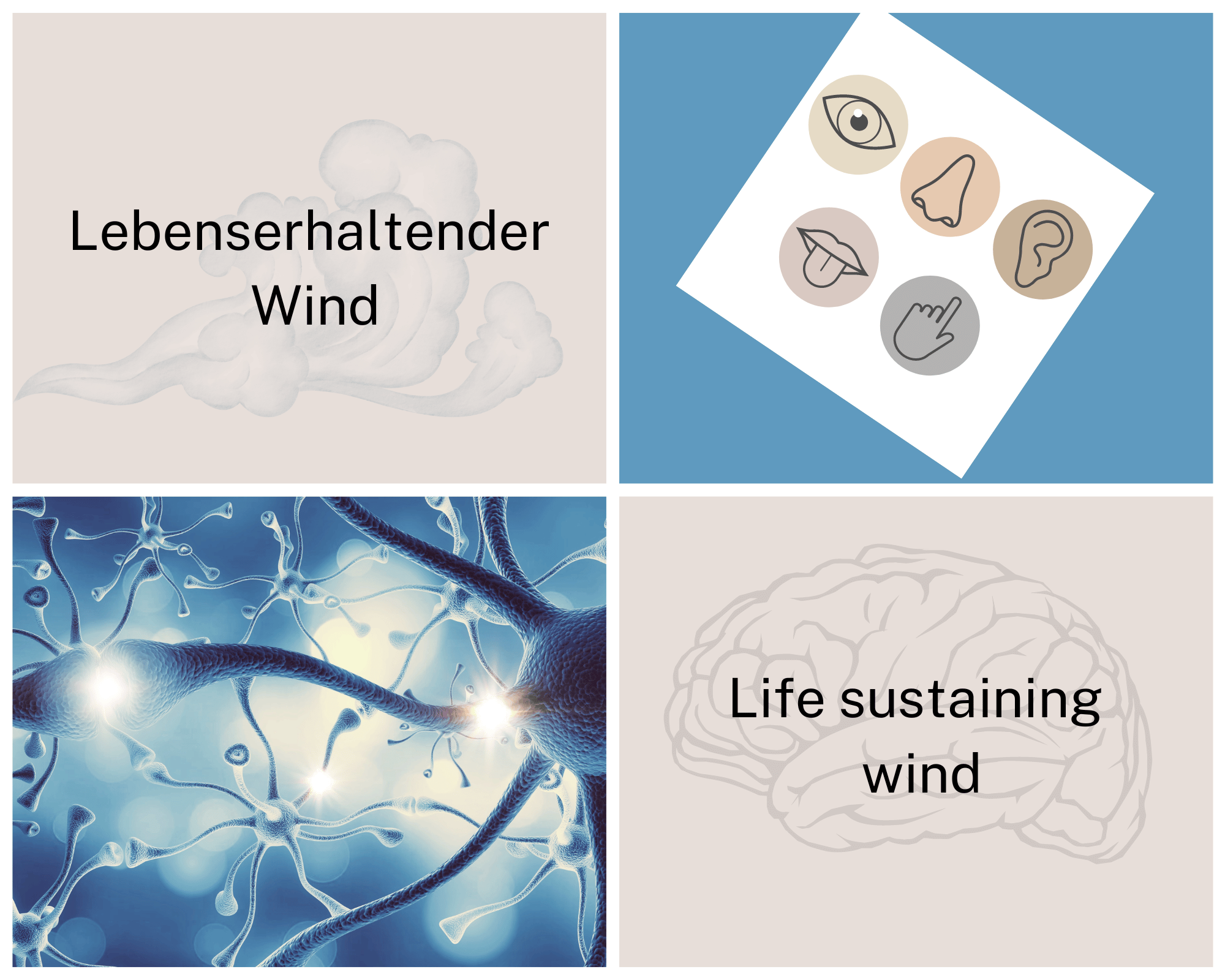Lebenserhaltender Wind